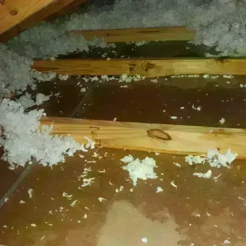 Attic Water Damage in Madison, SD