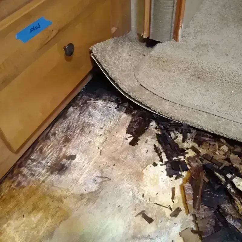 Wood Floor Water Damage in Madison, SD